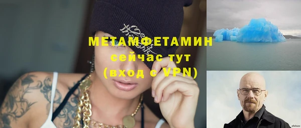 гидра Арсеньев