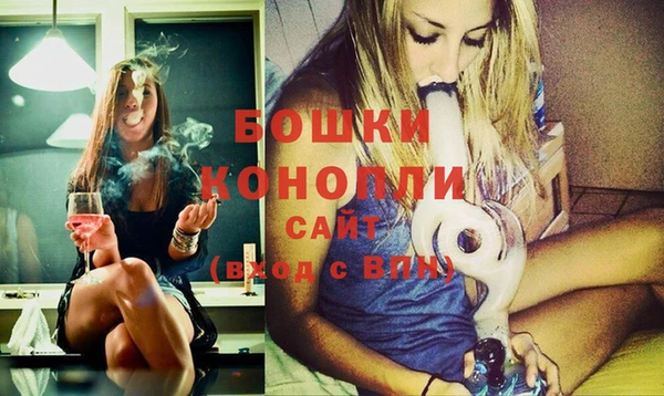 гидра Арсеньев